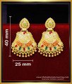 2 gram gold earrings, 2 gram gold earrings new design, 2 gram gold earrings models, 2 gram light weight gold earrings, 2 gram gold earrings daily use with price, earrings design artificial, design gold earring, latest earring designs in gold, earrings